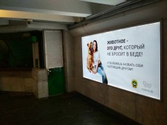 reklama_metro_akademiya_nauk_an16_18