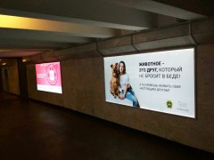 reklama_metro_moskovskaya_mos08_28