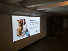 reklama_metro_moskovskaya_mos08_34