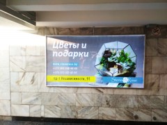 reklama_metro_park_chelyuskincev_pch01_25