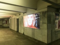 reklama_metro_pushkinskaya_push02_25