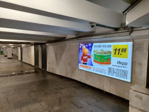 reklama_metro_akademiya_nauk_an17_5