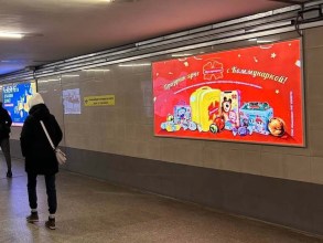 reklama_metro_borisovskij_trakt_bor05_5