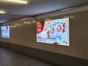 reklama_metro_borisovskij_trakt_bor06_5