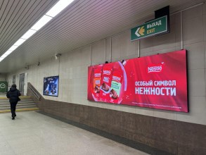 reklama_metro_grushevka_g02_6