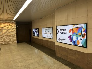 reklama_metro_grushevka_g04_4