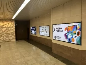 reklama_metro_grushevka_g04_4