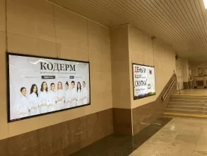 reklama_metro_grushevka_g05_4