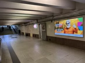 reklama_metro_grushevka_g07_4