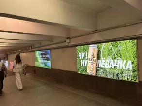 reklama_metro_grushevka_g13_5