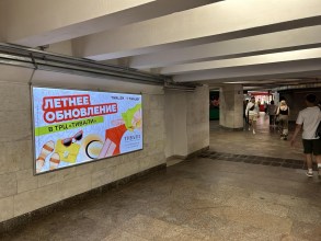 reklama_metro_pushkinskaya_push03_6