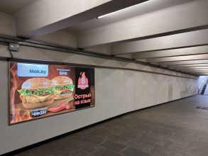 reklama_metro_sportivnaya_s09_3